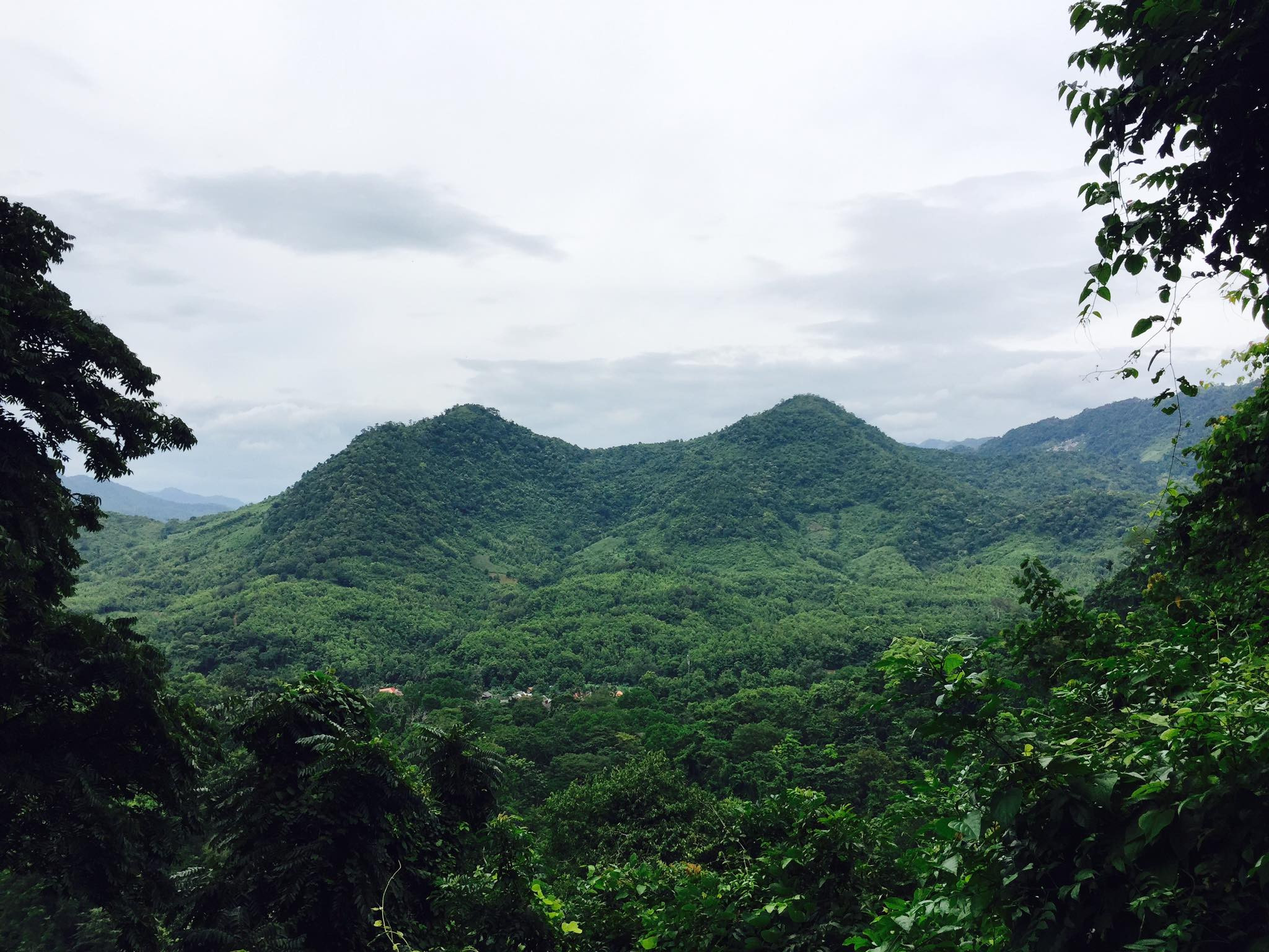 Environmental determination